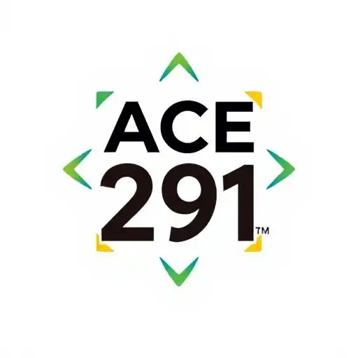 Ace 291: About Us